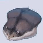  animal closed_eyes commentary_request flattened full_body grey_background hamster lying manino_(mofuritaionaka) no_humans on_stomach original signature simple_background sleeping solo 