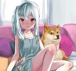  1girl animal artist_request blue_hair character_request dress looking_at_viewer open_mouth red_eyes shiba_inu 