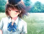  1girl blue_bow blue_neckwear blurry blurry_background blush bow bowtie breast_pocket brown_eyes brown_hair buttons closed_mouth collared_shirt commentary_request day depth_of_field dress_shirt eyebrows_visible_through_hair field grass kazuharu_kina looking_away looking_down original outdoors pocket school_uniform shirt short_hair short_sleeves signature upper_body white_shirt wing_collar 