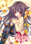  1girl :d ahoge animal_ears ass autumn_leaves black_hair black_legwear commentary_request hikanyan long_hair looking_at_viewer open_mouth original panties pantyshot pleated_skirt red_eyes skirt smile solo tail thigh-highs underwear white_panties wolf_ears wolf_tail zettai_ryouiki 
