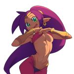  1girl :d armpits bare_shoulders bra bra_pull breasts colored dark_skin forehead_jewel green_eyes harem_pants hips long_hair looking_at_viewer medium_breasts metata navel o-ring_top open_mouth pants pointy_ears purple_hair shantae_(character) shantae_(series) smile solo stomach under_boob underwear vambraces very_long_hair 