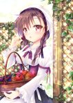  1girl apple basket black_hair blueberry blush braid breasts eyebrows_visible_through_hair food fruit highres holding_basket long_hair long_sleeves looking_at_viewer medium_breasts original parted_lips pink_eyes solo strawberry twin_braids yorarry 