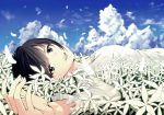  1girl bangs black_hair blue_eyes blue_sky breasts clouds cloudy_sky day field fingernails flower flower_field from_side highres long_sleeves looking_at_viewer looking_to_the_side lying motion_blur on_back open_mouth original outdoors petals saka_(akurisoh) shirt short_hair sky small_breasts smile solo upper_body white_flower white_shirt 