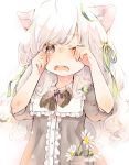  1girl animal_ears bangs blunt_bangs blush bow bowtie commentary_request crying d: daisy dress eyebrows_visible_through_hair flower green_ribbon grey_dress grey_eyes hair_ribbon hands_on_own_face kuga_tsukasa long_hair looking_at_viewer one_eye_closed open_mouth original polka_dot_neckwear puffy_short_sleeves puffy_sleeves ribbon short_sleeves solo tears unmoving_pattern white_hair 