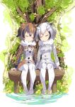  2girls bench brown_hair eurasian_eagle_owl_(kemono_friends) fur_collar grey_coat grey_hair harunohotaru head_wings kemono_friends long_sleeves multicolored_hair multiple_girls northern_white-faced_owl_(kemono_friends) pantyhose short_hair sitting sitting_on_bench sleeping tree v_v white_hair white_legwear 