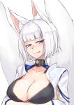  1girl :p animal_ears azur_lane blue_eyes blush breasts choker cleavage fox_ears fox_tail highres kaga_(azur_lane) large_breasts looking_to_the_side multiple_tails short_hair simple_background solo tail tongue tongue_out upper_body white_background white_hair zooanime 