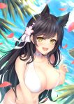  1girl :d animal_ears atago_(azur_lane) azur_lane beach bikini black_hair blush breasts choker cleavage hair_ribbon highres large_breasts long_hair looking_at_viewer mole mole_under_eye nail_polish ocean open_mouth petals pink_nails ribbon smile solo swimsuit tiphereth white_bikini white_neckwear white_ribbon yellow_eyes 