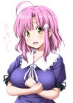  1girl :d ahoge bangs blush breasts brown_eyes collarbone commentary_request crossed_arms eyebrows_visible_through_hair gakkou_gurashi! highres large_breasts looking_at_viewer nori_tamago open_mouth parted_bangs pink_hair puffy_short_sleeves puffy_sleeves sakura_megumi short_hair short_sleeves simple_background smile solo tareme taut_clothes translation_request upper_body white_background 