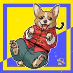  braid chinese_clothes cosplay dog looking_at_viewer lying on_back open_mouth pants ranma_1/2 red_shirt saotome_ranma saotome_ranma_(cosplay) shirt single_braid tongue tongue_out wantan-orz welsh_corgi 