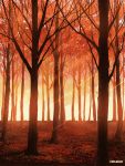  artist_name autumn commentary dappled_sunlight day forest highres making_of mclelun nature no_humans original outdoors red scenery sunlight tree 