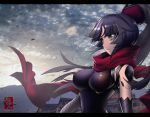  1girl arikanrobo black_border black_hair border breasts closed_mouth clouds cloudy_sky fate/grand_order fate_(series) from_side katou_danzou_(fate/grand_order) long_hair looking_away medium_breasts ponytail profile red_scarf robot_joints scarf serious signature sky solo upper_body yellow_eyes 