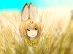  1girl :o animal_ears bangs bare_shoulders blue_sky bow bowtie day elbow_gloves gloves grass hair_between_eyes kemono_friends looking_at_viewer orange_gloves orange_hair outdoors parted_lips ryono_mizuki serval_(kemono_friends) serval_ears serval_print short_hair sky solo yellow_eyes yellow_neckwear 