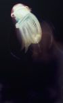  1girl bone closed_eyes floating from_side glowing highres jellyfish leg_hug light_particles monster_girl nude original ribs ryono_mizuki short_hair skeleton solo spine tentacle transparent underwater white_hair 