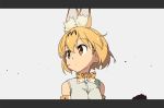  1girl animal_ears bangs bare_shoulders bow bowtie brown_eyes closed_mouth commentary elbow_gloves eyebrows_visible_through_hair gloves grey_background grey_shirt hair_between_eyes hair_ornament kemono_friends letterboxed looking_afar looking_to_the_side orange_gloves orange_hair orange_neckwear serval_(kemono_friends) serval_ears serval_print serval_tail shirt short_hair simple_background sleeveless sleeveless_shirt solo tail tomato_(lsj44867) 