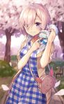  1girl :&lt; bag bench blue_dress blurry blush brown_jacket casual checkered checkered_dress cherry_blossoms closed_eyes closed_mouth collarbone cowboy_shot creature creature_on_shoulder day depth_of_field dress fate/grand_order fate_(series) fou_(fate/grand_order) hair_over_one_eye handbag highres huwali_(dnwls3010) jacket looking_at_viewer open_clothes open_jacket outdoors park park_bench path petals petting pink_hair road shielder_(fate/grand_order) short_hair short_sleeves shoulder_bag smile standing tree violet_eyes white_fur 