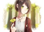  1girl bangs brown_hair cardigan closed_mouth collarbone eyebrows_visible_through_hair ginkgo green_eyes hachimitsu_honey highres holding holding_leaf leaf open_cardigan open_clothes original short_hair sidelocks smile solo upper_body 