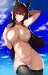  1girl animal_ears arm_behind_head arm_up atago_(azur_lane) azur_lane bangs bare_arms bare_shoulders bikini black_legwear blue_sky blush breasts brown_hair choker cleavage clouds collarbone cowboy_shot day eyebrows_visible_through_hair flower gluteal_fold groin hair_flower hair_ornament hand_up highres large_breasts light_rays long_hair looking_at_viewer navel outdoors parted_lips saisarisu sky smile solo standing stomach sunbeam sunlight swimsuit thigh-highs thigh_gap very_long_hair violet_eyes white_bikini white_neckwear 