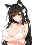  1girl animal_ears atago_(azur_lane) azur_lane bangs bikini black_hair blush breasts brown_eyes cleavage closed_mouth eyebrows_visible_through_hair flower hair_flower hair_ornament hair_ribbon large_breasts long_hair looking_at_viewer macchiato_(jae-min_cho) mole mole_under_eye navel ribbon simple_background smile solo swept_bangs swimsuit upper_body white_background white_bikini white_flower white_ribbon wristband 