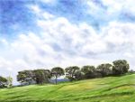  blue_sky clouds day grass landscape no_humans outdoors scenery sky t-3_design tree 