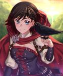 1girl bird blue_eyes brown_hair cape cloak corset crow highlights highres hood hooded_cloak kio_rojine multicolored_hair redhead ruby_rose rwby 