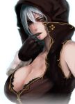  bad_id breasts cleavage fang fantasy_earth_zero hood huge_breasts silver_hair solo yellow_eyes 