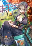  1girl autumn bicycle book dress green_eyes ground_vehicle interitio leaf looking_at_viewer maple_leaf purple_dress sid_story silver_hair sitting solo sunlight veil veil_over_eyes writing 