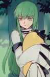  1girl bangs c.c. cheese-kun code_geass creayus eyebrows_visible_through_hair forest green_hair hands_in_sleeves hat long_hair long_sleeves looking_down nature nervous_smile parted_lips smile solo stuffed_toy toy tree yellow_eyes 