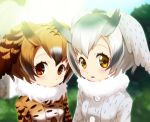  2girls bangs black_hair bloom blue_sky blurry blurry_background brown_hair bush closed_mouth coat day depth_of_field eurasian_eagle_owl_(kemono_friends) expressionless fur_trim gradient_hair hair_between_eyes head_wings junshi_(junbox) kemono_friends library looking_at_viewer multicolored_hair multiple_girls northern_white-faced_owl_(kemono_friends) outdoors parted_lips reflective_eyes short_hair silver_hair sky streaked_hair sunlight tree white_hair 