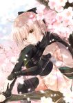  1girl ahoge ass bangs black_legwear black_scarf blonde_hair blue_sky blurry cherry_blossoms clouds day depth_of_field eyebrows_visible_through_hair fate_(series) flower hair_ribbon half_updo hand_on_own_knee highres in_tree iroha_(shiki) japanese_clothes kimono knee_up koha-ace looking_at_viewer obi outdoors petals ribbon sakura_saber sash scarf short_hair short_kimono sitting sitting_in_tree sky sleeveless sleeveless_kimono smile solo sunlight thigh-highs toeless_legwear toes tree tree_branch vambraces yellow_eyes 