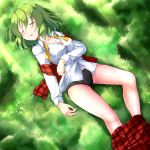  1girl aka_tawashi arm_at_side bangs bare_legs black_panties blush breasts cleavage closed_eyes collared_shirt commentary_request dress_shirt eyebrows_visible_through_hair grass green_hair hand_on_own_stomach highres kazami_yuuka long_sleeves lying medium_breasts off_shoulder on_back open_clothes open_mouth open_vest panties plaid plaid_skirt plaid_vest red_skirt red_vest shirt short_hair skirt skirt_pull sleeping solo touhou underwear vest white_shirt wing_collar 