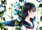  1girl bad_id bad_pawoo_id bangs black_hair blue_eyes blurry closed_mouth depth_of_field eyebrows_visible_through_hair floating_hair flower from_side kyara36 long_hair morning_glory neckerchief original plant profile red_neckerchief school_uniform serafuku short_sleeves solo tsurime upper_body vines 