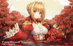  1girl autumn autumn_leaves bangs blush braid closed_mouth copyright_name epaulettes eyebrows_visible_through_hair fate/extra fate/grand_order fate_(series) french_braid hair_bun hair_intakes looking_at_viewer saber_extra sidelocks smile solo yukinoshita_(shaonjishi) 