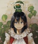  1girl animal animal_on_head black_eyes black_hair clothed_animal collar commentary_request crown crying day dress frilled_collar frills frog frog_prince grimm&#039;s_fairy_tales hair_between_eyes highres holding holding_leaf leaf looking_at_viewer on_head parted_lips rain red_vest sad sako_(user_ndpz5754) tears vest water_drop white_dress 