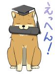  closed_eyes dog graduation hat lowres nu_tarou shiba_inu 