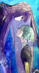  androgynous blue_eyes blue_hair crystal_hair gem_uniform_(houseki_no_kuni) golden_arms green_eyes green_hair houseki_no_kuni lapis_lazuli_(houseki_no_kuni) long_hair looking_down phosphophyllite short_hair short_sleeves smile 