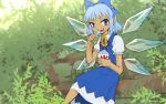  1girl blue_eyes blue_hair branch cirno dress eating flower hair_ribbon ice ice_wings looking_at_viewer meimaru_inuchiyo ribbon shaved_ice short_hair solo sunflower tan tanned_cirno touhou wings 