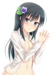  10s 1girl asashio_(kantai_collection) black_hair blue_eyes buttons collarbone flower groin hair_between_eyes hair_flower hair_ornament hanazome_dotera jewelry kantai_collection long_hair long_sleeves open_clothes open_shirt purple_flower ring shirt simple_background solo wedding_band white_background white_shirt 