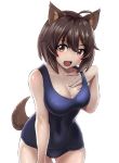  1girl ahoge animal_ears blue_swimsuit blush brave_witches breasts brown_eyes brown_hair cleavage collarbone commentary_request cowboy_shot eyebrows_visible_through_hair hair_ornament hairclip hand_on_own_chest karibuchi_hikari large_breasts liar_lawyer looking_at_viewer open_mouth school_swimsuit shiny shiny_hair shiny_skin short_hair simple_background smile solo standing swimsuit tail thigh_gap white_background world_witches_series 