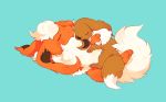  blue_background blush closed_eyes closed_mouth eevee flareon fluffy hand_on_own_face hideko_(l33l3b) lying no_humans on_back on_stomach parted_lips pokemon pokemon_(creature) simple_background sleeping tail 