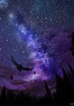  amatsuki_rei bird commentary_request feathers forest highres milky_way nature night night_sky no_humans outdoors owl sky star_(sky) starry_sky tree 