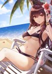  1girl bangs beach bikini black_bikini bracelet breasts chair day eyebrows_visible_through_hair fate/grand_order fate_(series) flower hair_between_eyes hair_flower hair_ornament hand_on_hip horizon jewelry kim_eb large_breasts legs_crossed lens_flare long_hair looking_at_viewer lounge_chair navel outdoors palm_tree parted_lips purple_flower purple_hair scathach_(fate/grand_order) sitting solo starfish swimsuit thighs tree tsurime under_boob violet_eyes 
