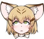  1girl animal_ears blonde_hair blush brown_hair cat_ears close-up closed_mouth disco_brando eyebrows_visible_through_hair green_eyes kemono_friends looking_away multicolored_hair rolling_eyes sand_cat_(kemono_friends) short_hair solo upper_body 