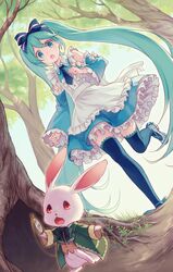  1girl alice_(wonderland) alice_(wonderland)_(cosplay) alice_in_wonderland aqua_eyes aqua_hair blue_dress bow bowtie choke_(amamarin) cosplay detached_sleeves dress dutch_angle hair_ribbon hatsune_miku long_hair open_mouth outdoors pocket_watch rabbit red_eyes ribbon running thigh-highs tree twintails very_long_hair vocaloid watch white_rabbit 