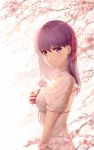  1girl artist_name blurry blush breasts cherry_blossoms closed_mouth depth_of_field dress fate/stay_night fate_(series) flower from_side hair_ribbon holding holding_flower long_hair looking_at_viewer looking_to_the_side matou_sakura medium_breasts purple_hair red_ribbon ribbon rimuu short_sleeves smile solo upper_body violet_eyes watermark web_address white_background white_dress 