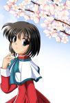  cherry_blossoms green_eyes kanon misaka_shiori school_uniform short_hair t28 