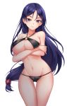  1girl bikini black_bikini blue_eyes blue_hair breasts closed_mouth crossed_arms fate/grand_order fate_(series) highres large_breasts leikangmin long_hair looking_at_viewer minamoto_no_raikou_(fate/grand_order) navel o-ring_bikini o-ring_top simple_background smile solo standing swimsuit white_background 