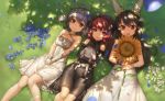  3girls :d ahoge animal_ears armor_girls bangs bare_shoulders black_hair black_ribbon blue_flower blue_hair blurry breasts brown_eyes cleavage closed_mouth criss-cross_halter dappled_sunlight day depth_of_field detached_sleeves dress fake_animal_ears flower frilled_sleeves frills grass hair_ribbon hairband half-closed_eyes halterneck highres holding holding_flower leila_pegas lolita_fashion lolita_hairband long_hair long_sleeves looking_at_viewer looking_up lying medium_breasts mel_cyclop multiple_girls nio_silen on_back open_mouth outdoors petals pink_eyes qingmingtongzi rabbit_ears red_eyes redhead ribbon round_teeth scrunchie short_hair sleeveless sleeveless_dress smile stuffed_animal stuffed_bunny stuffed_toy sunflower sunlight tareme teeth v_arms white_dress wind wrist_scrunchie wristband x_x 