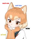  1girl :3 absurdres animal_ears artist_name bone brown_eyes chin_rest dog_(kemono_friends) dog_ears doge elbow_gloves gloves head_tilt highres kemono_friends kumaartsu looking_at_viewer meme mouth_hold orange_hair short_hair simple_background solo upper_body white_background 