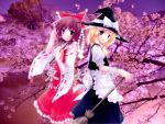  2girls apron back-to-back black_dress blonde_hair bow broom brown_eyes brown_hair cherry_blossoms detached_sleeves dress gohei hair_ribbon hakurei_reimu hat japanese_clothes kirisame_marisa miko multiple_girls perfect_cherry_blossom pink_background red_dress ribbon short_hair smile title_drop touhou tree witch witch_hat yellow_eyes 