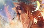   holo spice_and_wolf tagme wolfgirl  